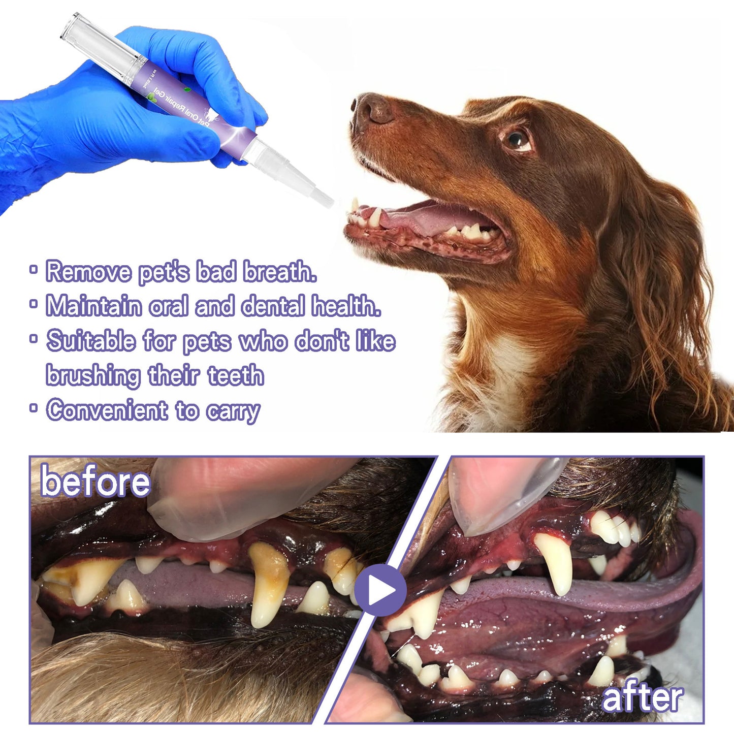 Pet Oral Repair Gel - New Tooth Brush