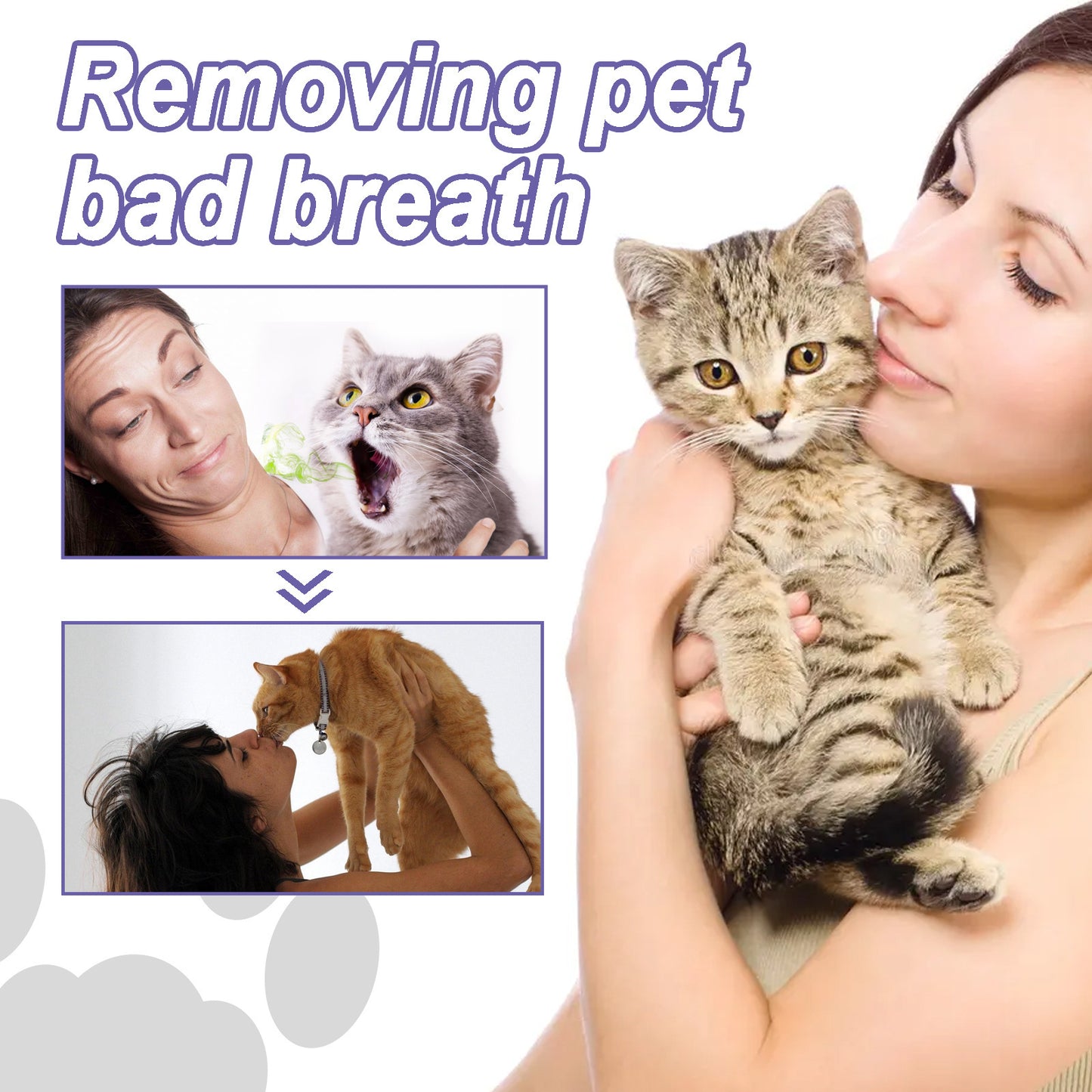 Pet Oral Repair Gel - New Tooth Brush