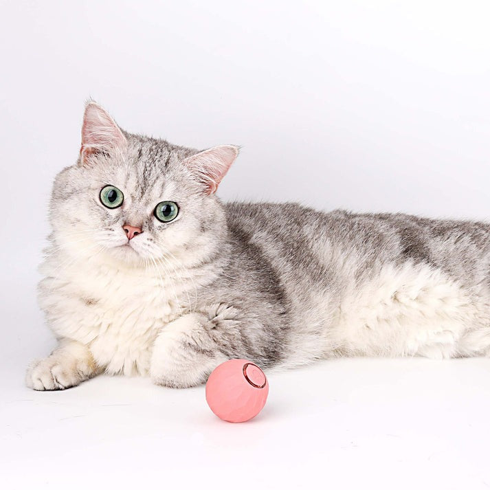 POWER BALL2.0 Cat Toys