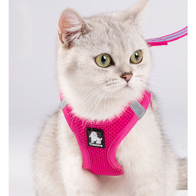 Cat Harness For Cat Walking TailTalesZone