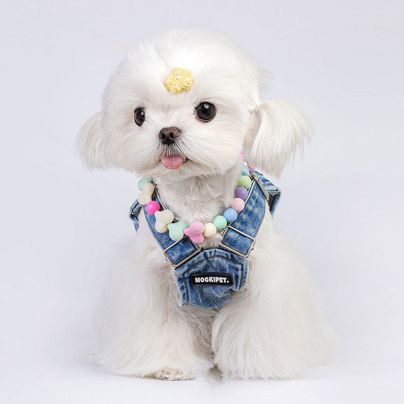 Pet Necklace with Colorful Beads