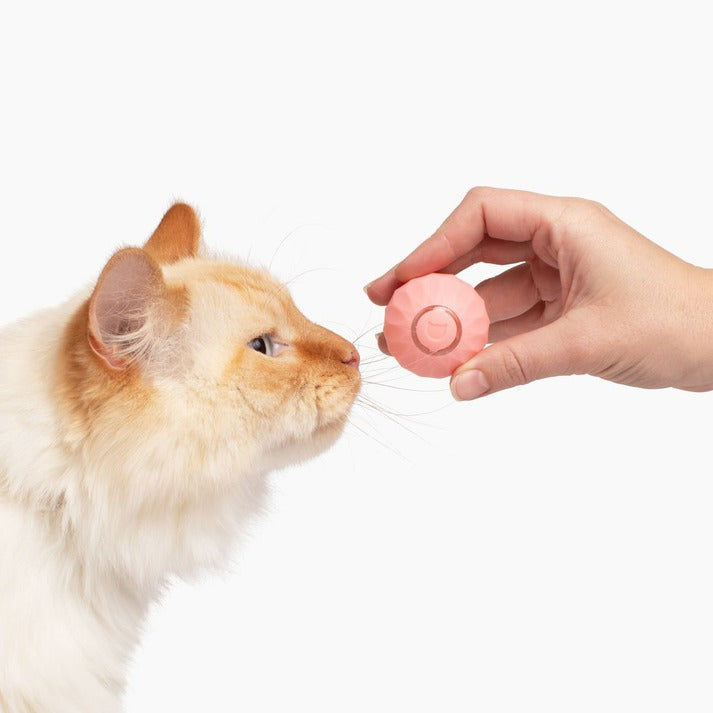 POWER BALL2.0 Cat Toys