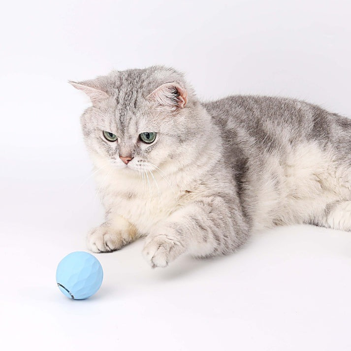 POWER BALL2.0 Cat Toys