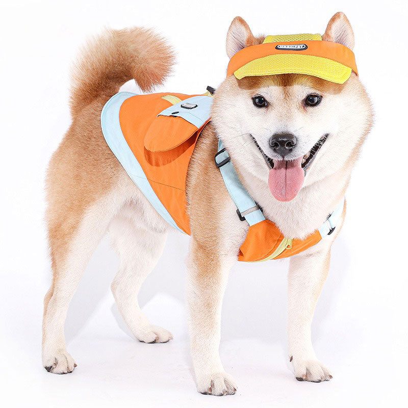 Pet sun hat