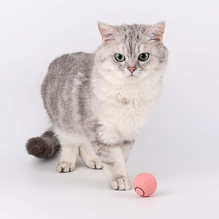 POWER BALL2.0 Cat Toys