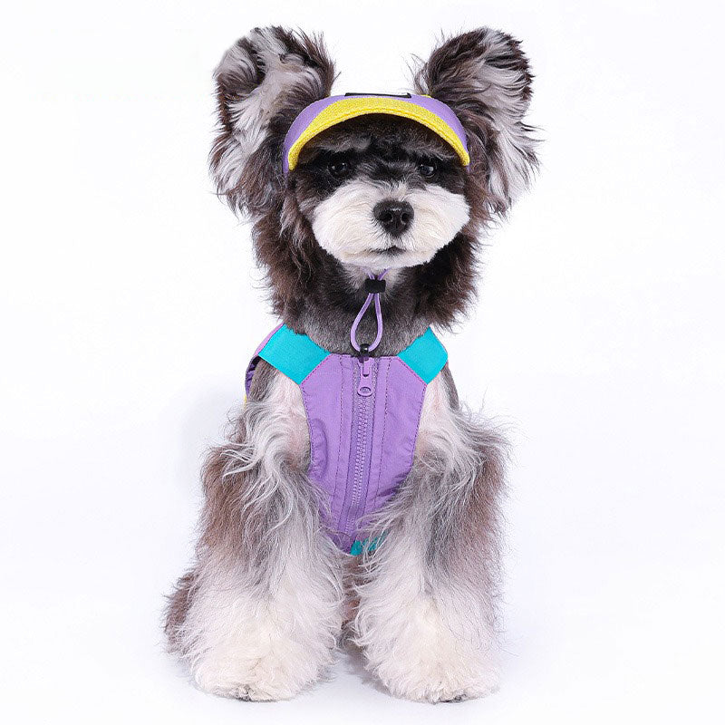 Pet sun hat