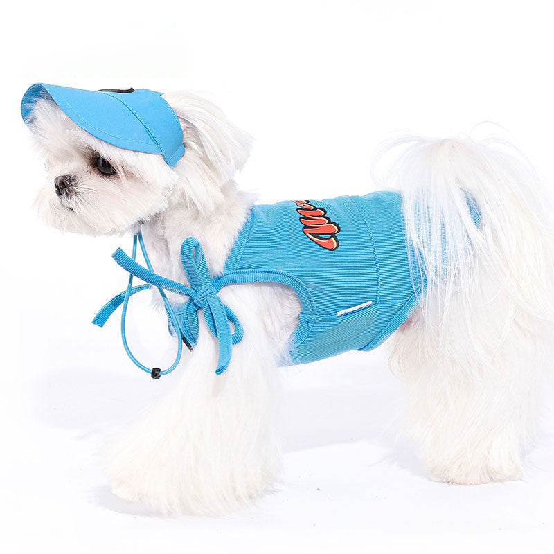Sky blue pet hat