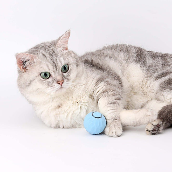 POWER BALL2.0 Cat Toys