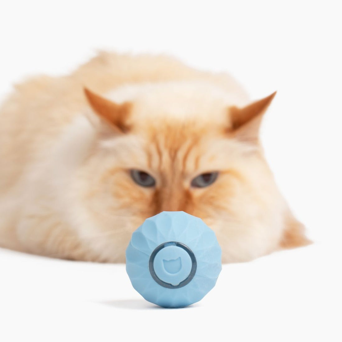 POWER BALL2.0 Cat Toys