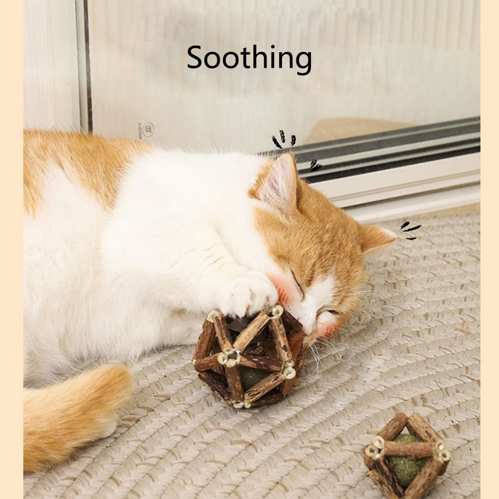 Cat Toy Interactive Catnip Balls