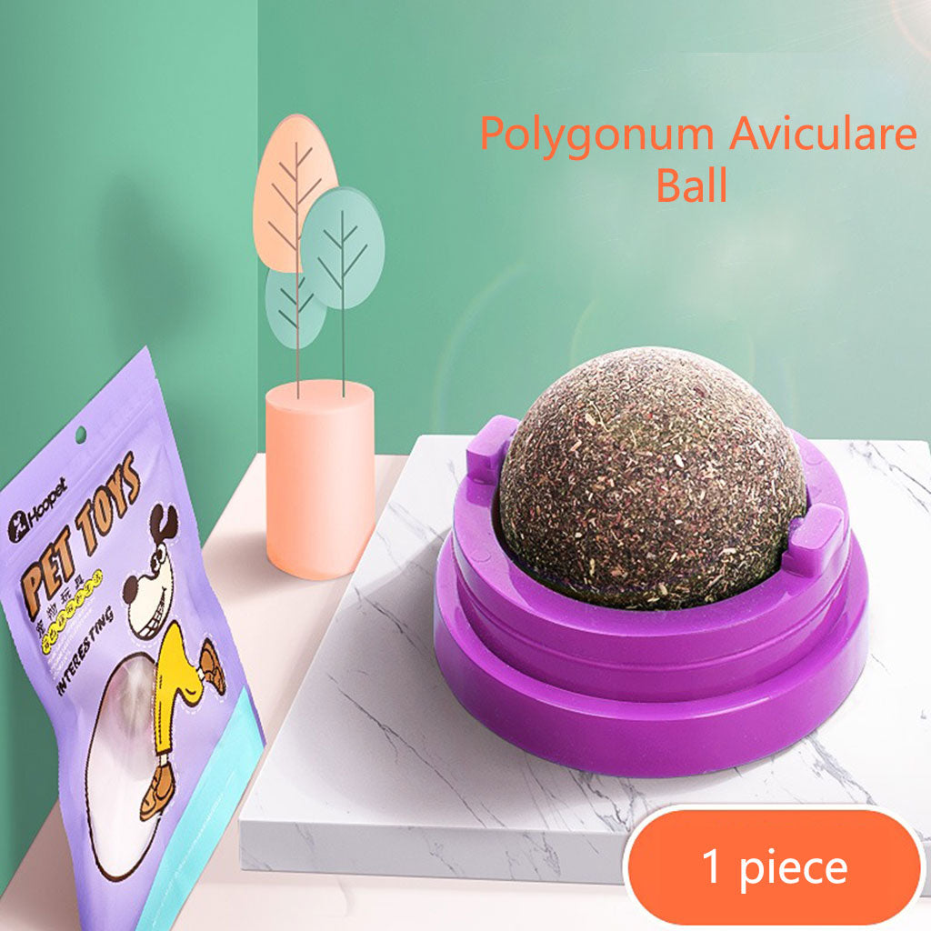 Cat Toys Catnip Balls