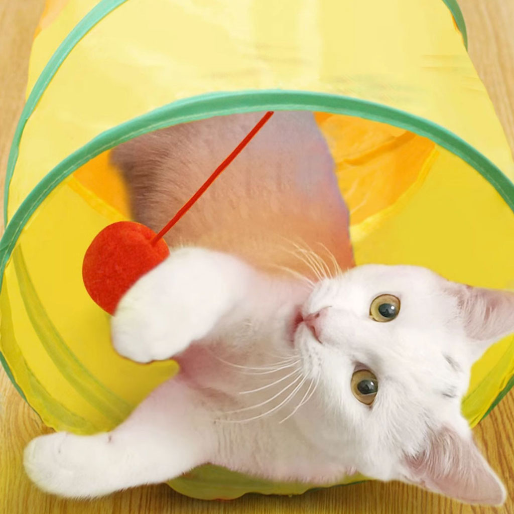 Cat Toys Cat Rainbow Tunnel