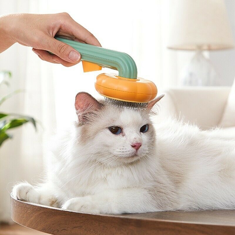 Pet Pumpkin Brush Pet Grooming Self Cleaning Slicker Brush