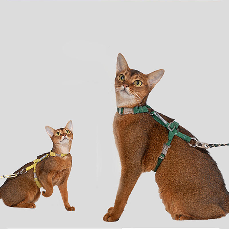 Cat Harness HiDream