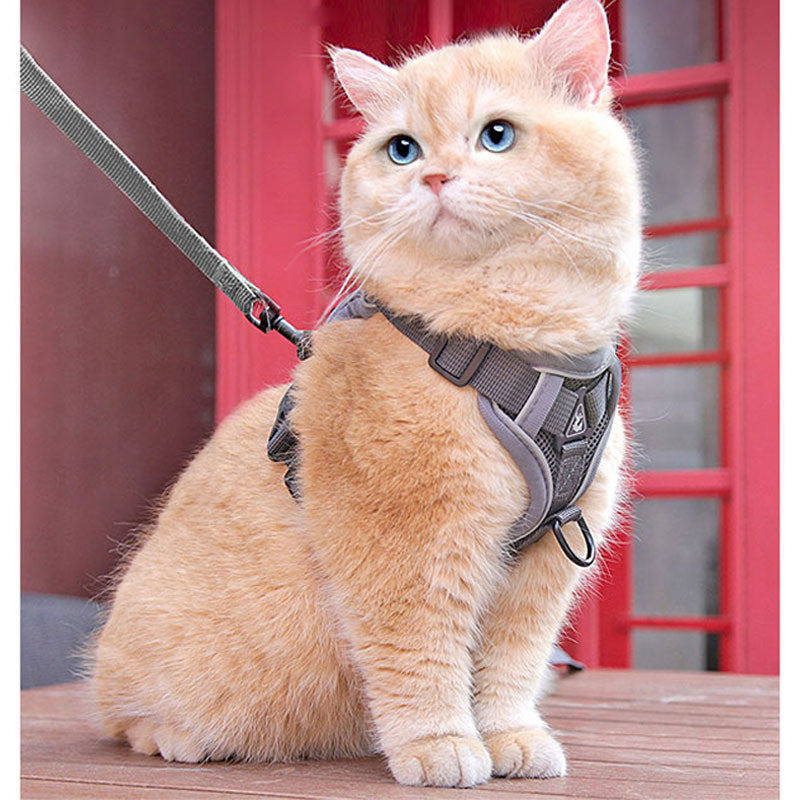 Cat Harness And Leash