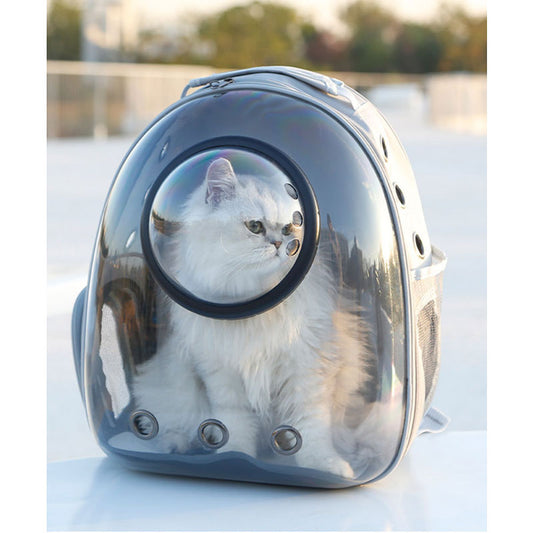 Cat Backpack Transparent Cat Carrier