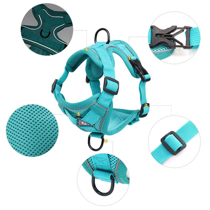 Cat Harness With Leash New Edition