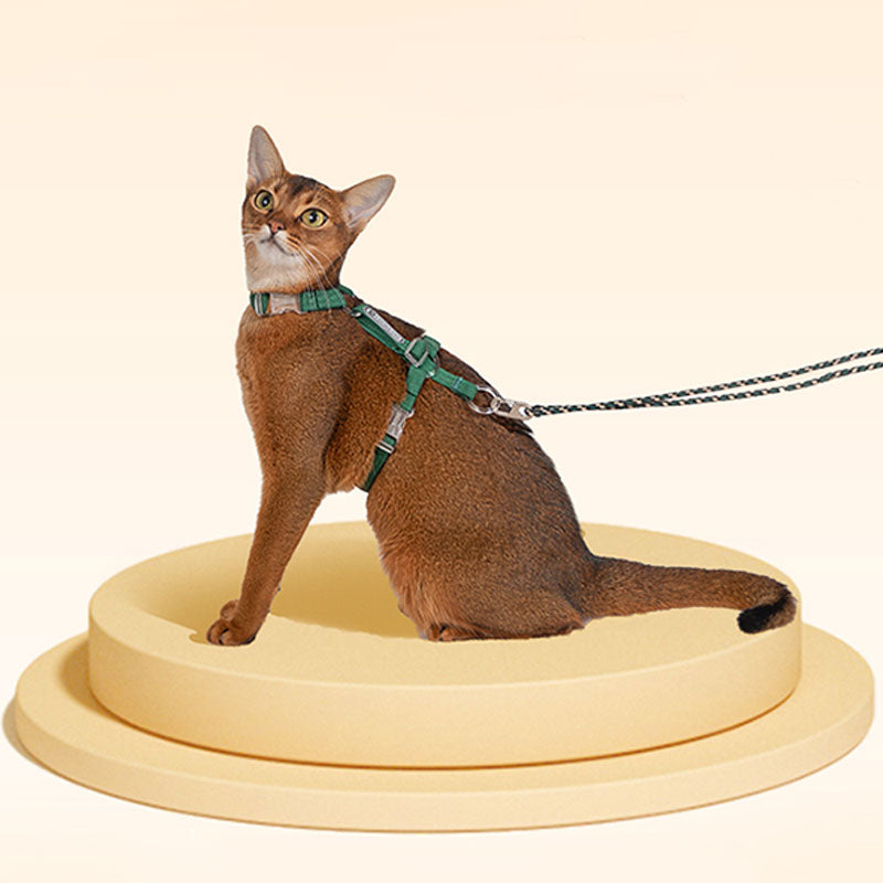 Cat Harness HiDream