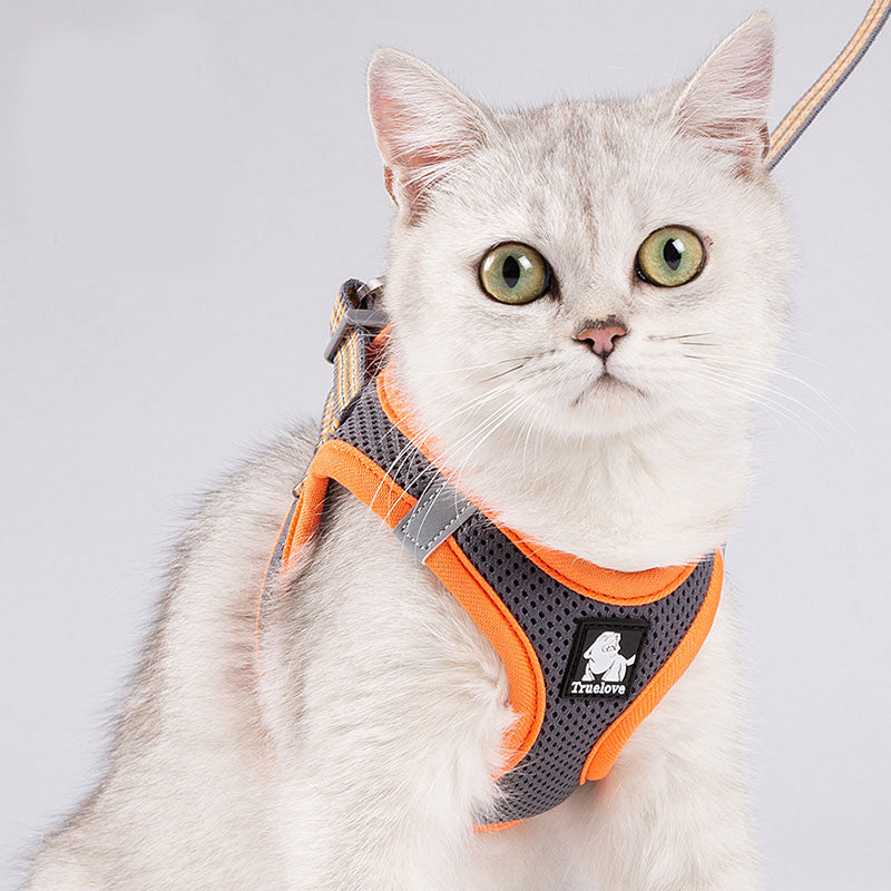 Cat Harness For Cat Walking