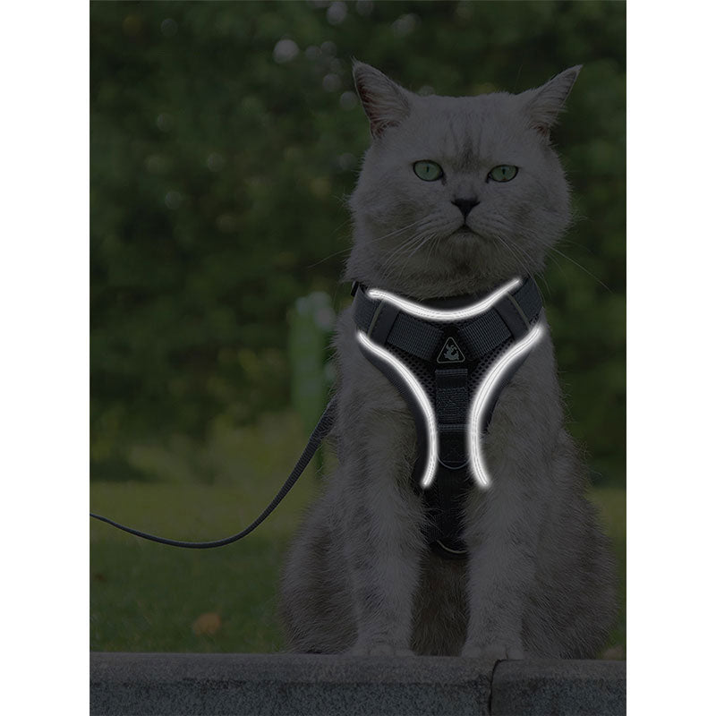 Cat Harness With Leash New Edition