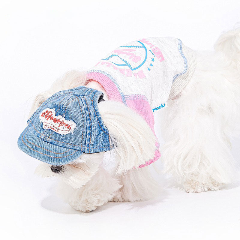 Pet cowboy hat
