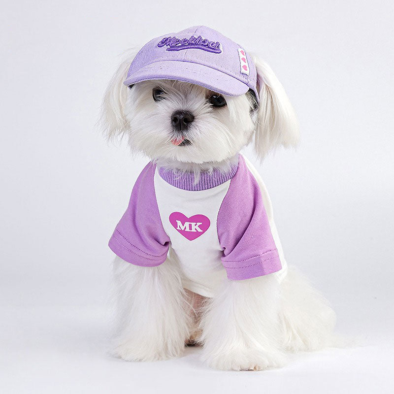 Pet hat