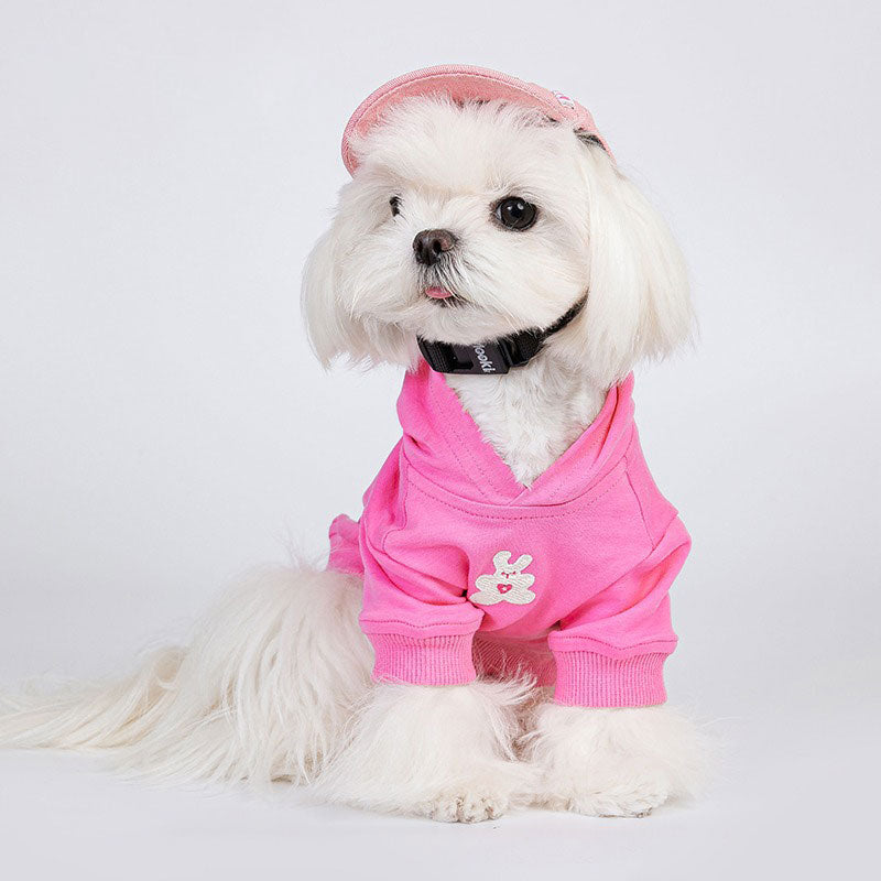 Pet hat