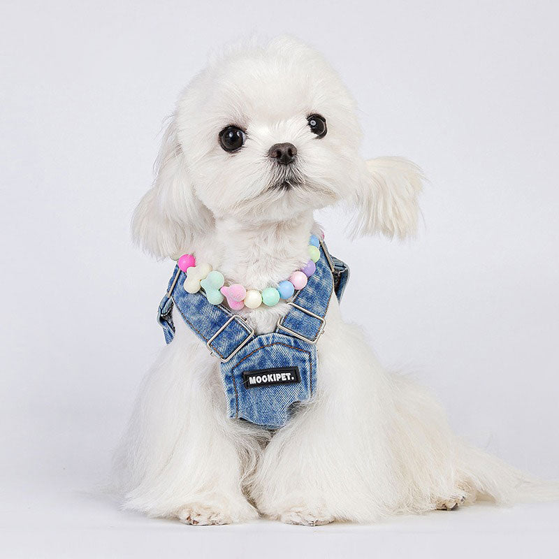 Pet Necklace with Colorful Beads