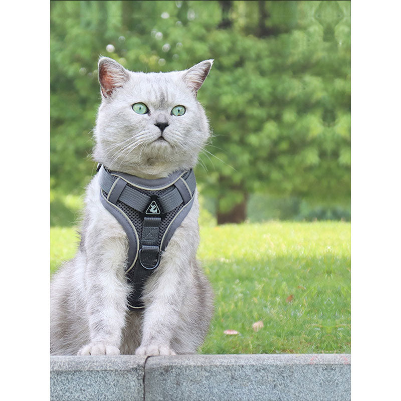 Cat Harness With Leash New Edition