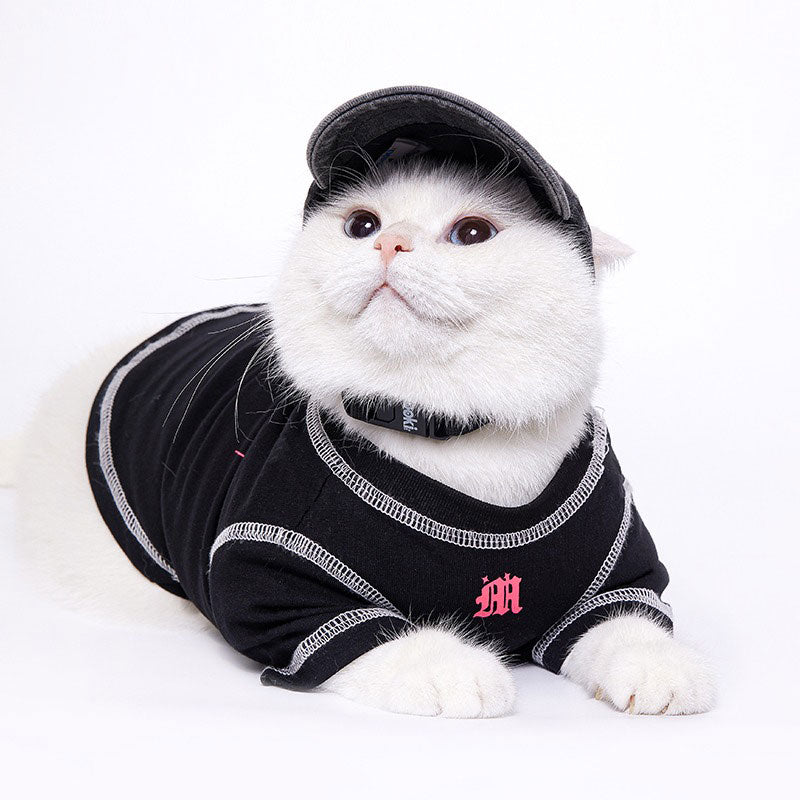 Pet cowboy hat