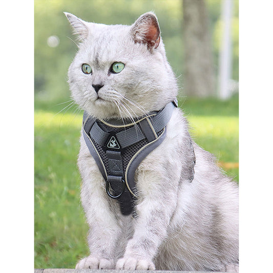 Cat Harness With Leash New Edition