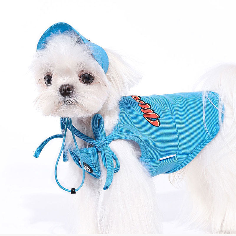 Sky blue pet hat