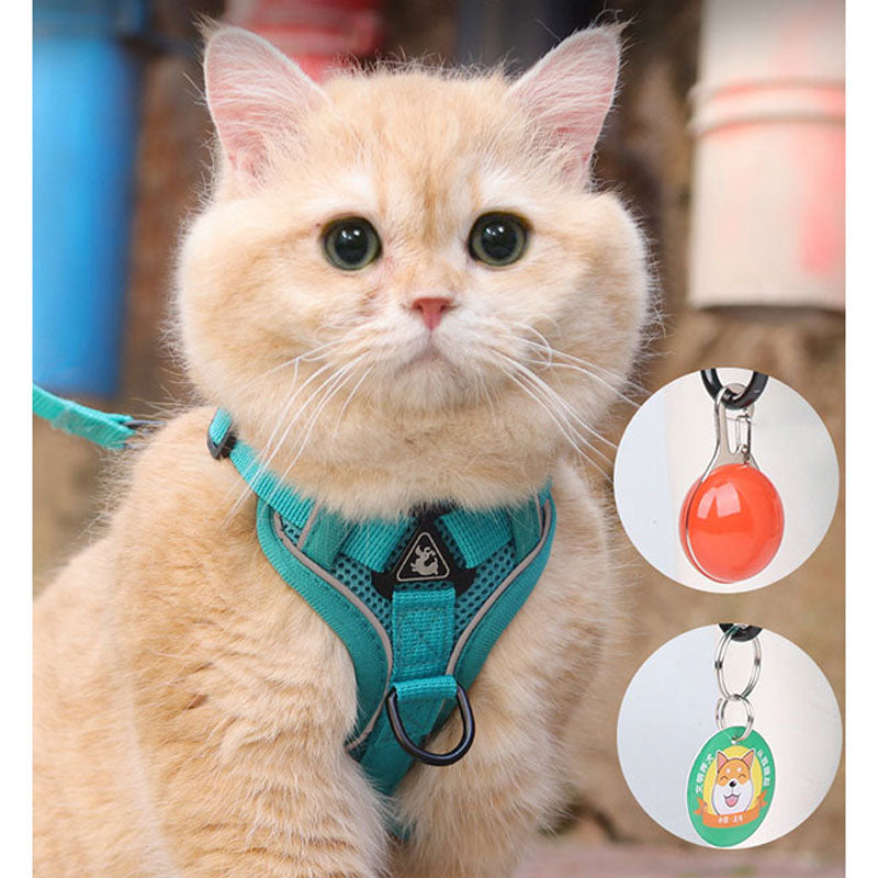 Cat Harness And Leash