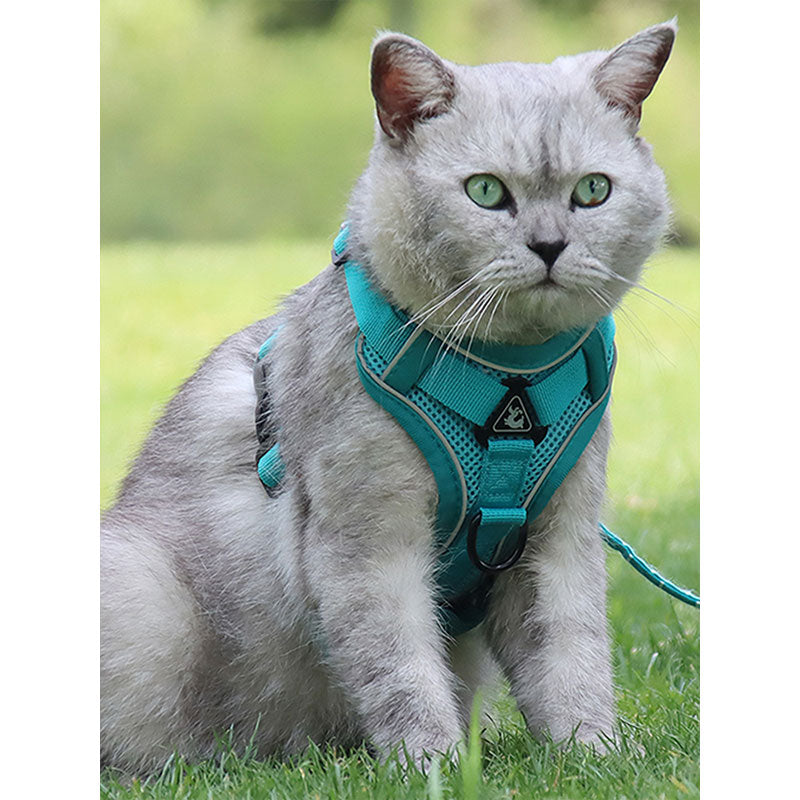 Cat Harness With Leash New Edition