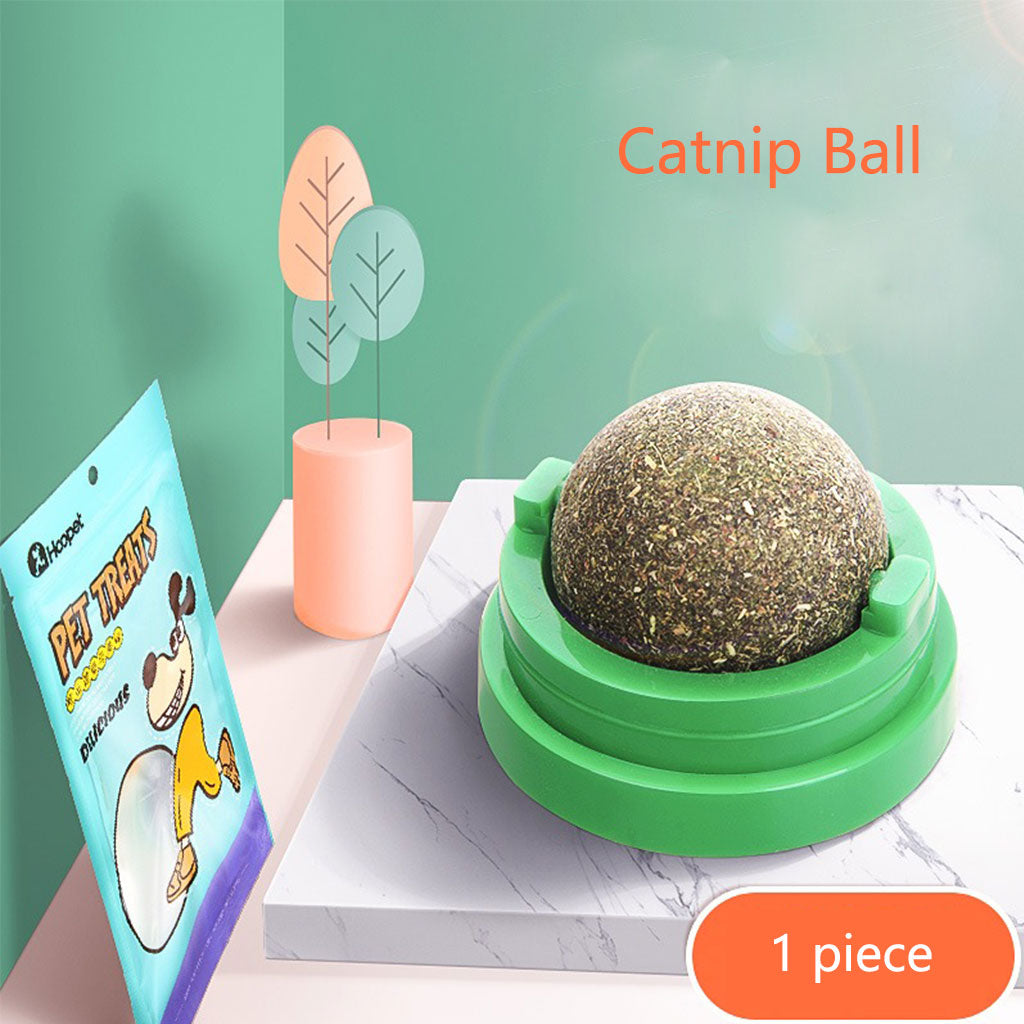 Cat Toys Catnip Balls