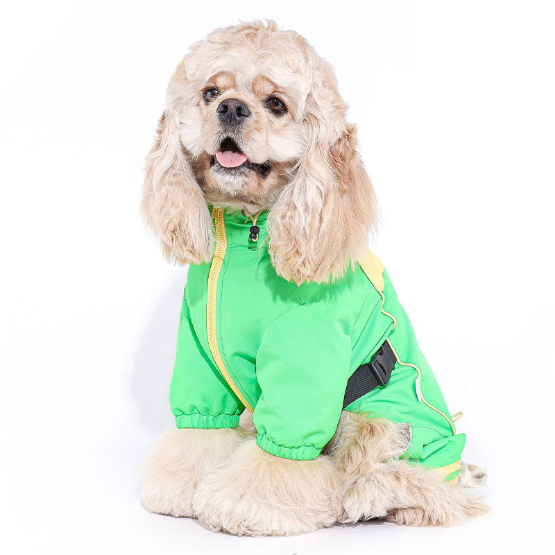 Dog Raincoat Purcple Green